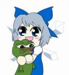 cirno pepe.png