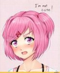 Natsuki-(Doki-doki-Literature-club)-Doki-doki-Literature-cl[...].jpeg