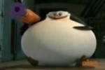 penguin.png