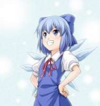 900861-cirno24.jpg