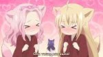 [HorribleSubs] Konohana Kitan - 10 [720p].mkv20171210214550[...]