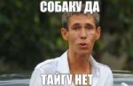 собакуДА