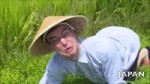 WELCOME TO THE RICE FIELDS MOTHERFUCKER.mp4