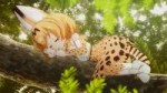 [HorribleSubs] Kemono Friends - 01 [720p].mkv20171217184058[...].jpg