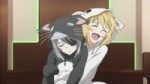 Cats Anime.webm