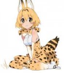 Serval-(Kemono-Friends)-Kemono-Friends-Anime-senjitsu-musou[...].jpeg