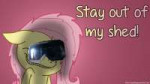 fluttershystayoutofmyshedwallpaperbyassualtpony-d5xvg8f.jpg