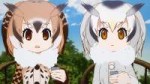 [Beatrice-Raws] Kemono Friends 07 [BDRip 1920x1080 x264 FLA[...].jpg