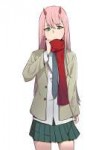 Zero.Two.(Darling.in.the.FranXX).full.2258768.png