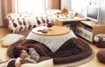 kotatsu1[1].jpg