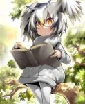 Northern.White-faced.Owl.(Kemono.Friends).full.2214726.png