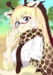 Reticulated.Giraffe.(Kemono.Friends).full.2126953.png