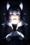 Grey.Wolf.(Kemono.Friends).full.2091908.jpg