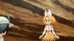 [Beatrice-Raws] Kemono Friends 01 [BDRip 1920x1080 x264 FLA[...].jpg