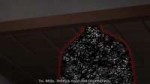 Black Salt Cage - 06.mp4snapshot12.21[2018.08.1904.30.40].jpg