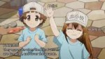 [HorribleSubs] Hataraku Saibou - 07 [720p].mkvsnapshot08.53[...].jpg