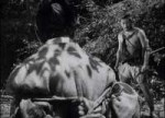 Rashomon(1950).mkvsnapshot00.28.20[2018.09.0201.27.46].jpg