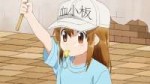 [Erai-raws] Hataraku Saibou - 12 [1080p][Multiple Subtitle][...].jpg