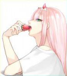 Zero.Two.(Darling.in.the.FranXX).full.2340792.jpg