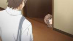 [HorribleSubs] Seishun Buta Yarou wa Bunny Girl Senpai no Y[...].jpg