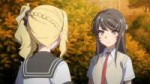 [HorribleSubs] Seishun Buta Yarou wa Bunny Girl Senpai no Y[...].jpg