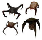 Headcrabmodels.jpg