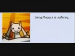 being Meguca is suffering.mp4