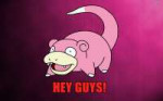 slowpoke-9181-2560x1600.jpg