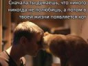 котэ-любовь-отношения-песочниц-721409.jpg