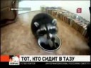 тот кто сидит в тазу.jpg