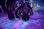 TigersPaintingArtNightGlance535374300x200.jpg