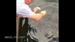 Snapping turtle bites man in the face FULL VIDEO FAIL !.mp4