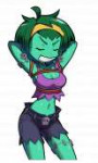 TheRopeBaron-Shantae-Shantae-Characters-Shantae-franchise-4[...].png