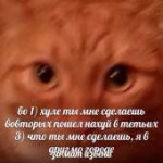 во-первых-хуле-ты-мне-сделаешь-4.jpg