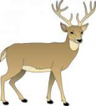 deer-clip-art-deer05ClipartFree.png