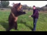 bear with madskills.webm