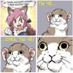 Anime-neko-Animal-Ears-3075888.jpeg