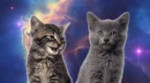 Space Cats — Magic FlyHD.webm