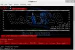 Hack-website-password-using-WireShark-darkMORE-Ops-6.png