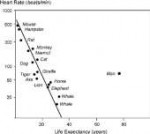 Semi-logarithmic-relation-between-rest-heart-rate-and-life-[...].png