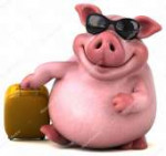 depositphotos136890306-stock-photo-fun-pig-holding-trolley-[...].jpg