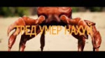 тред умер.mp4