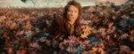 thehobbitthedesolationofsmaug[tfile.ru]2.webm