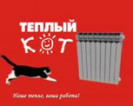 Кот спиздил батарею.mp4