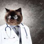 19037264-funny-fluffy-cat-doctor-in-a-robe-and-glasses-coll[...].jpg