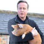 david-cameron-with-pig.jpg