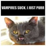 Vampurr.jpg