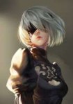 2b.jpg