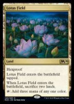 lotusfield1[1].jpg