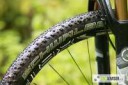 schwalbe-thunder-burt-tire-2014-4.jpg